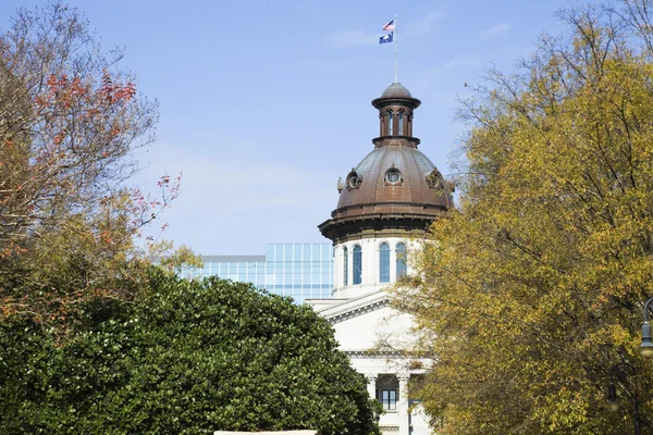 Edificio del Capitolio Estatal en Columbia —  Fotos de Stock