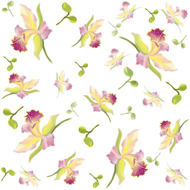 Retro floral background. Orchid. clipart