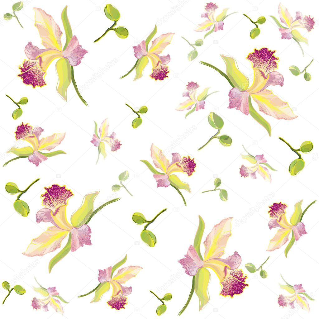 Retro floral background. Orchid.