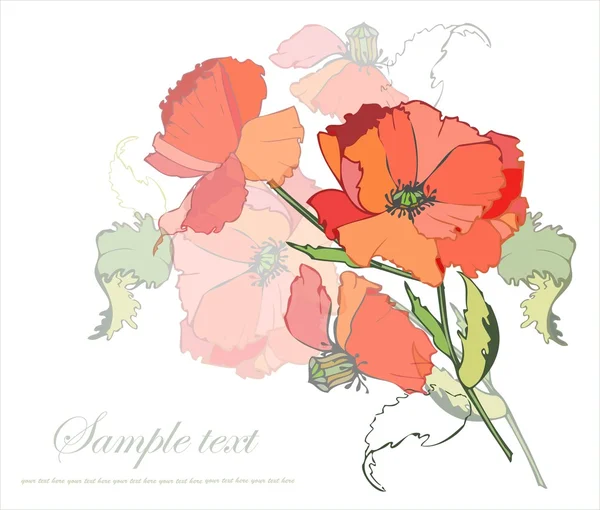 ケシの花束グリーティング カード — ストックベクタ
