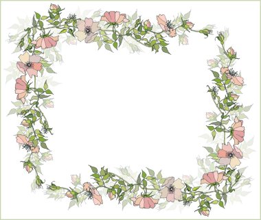 Beautiful greeting card with the image of a wild rose.Decorative framework. Wild rose. clipart