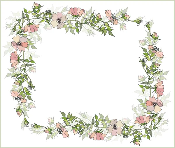 Krásné Přání Obrázkem Divoká Rose Decorative Rámce Divoká Růže — Stockový vektor