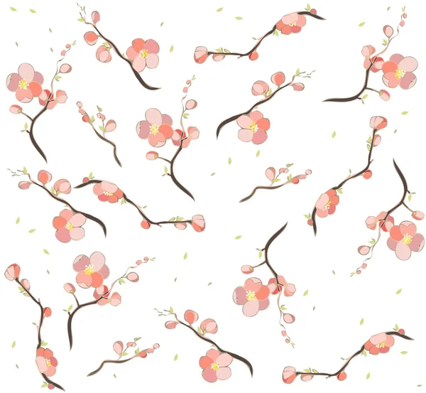 Sorunsuz background.illustration kiraz çiçek. — Stok Vektör