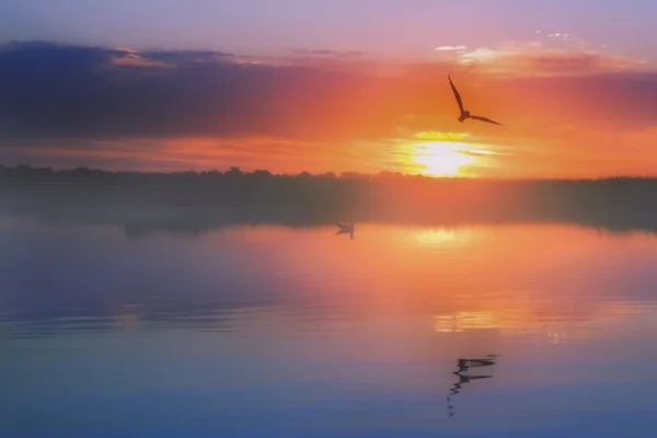 stock image Morning on the Lake