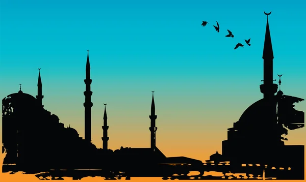 Vektorillustration Von Istanbul — Stockvektor