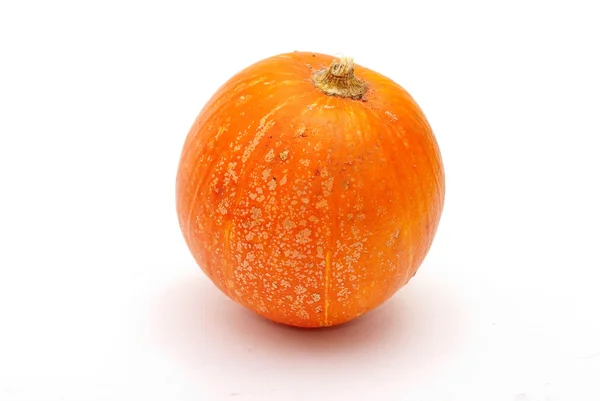 stock image Orange pumpkin isolated.