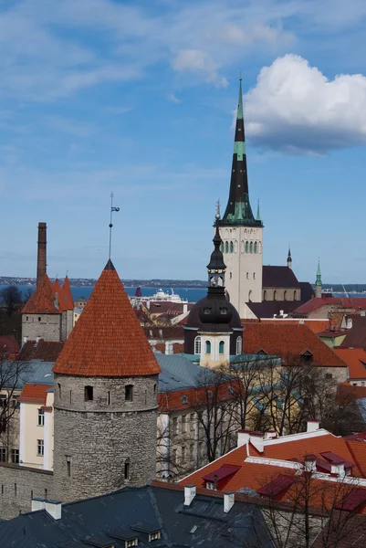 Tallinn Estónia — Fotografia de Stock