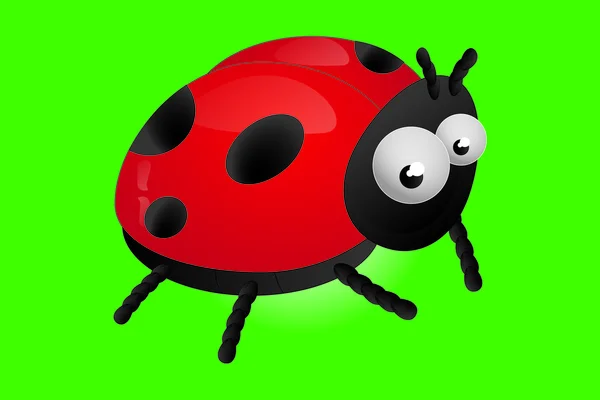 stock vector Ladybird vector