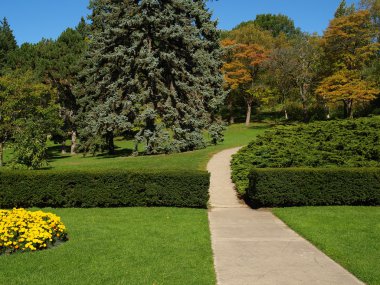 Garden with pathway