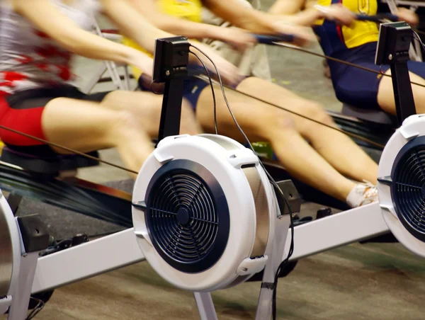 stock image Women exercising in the gym.