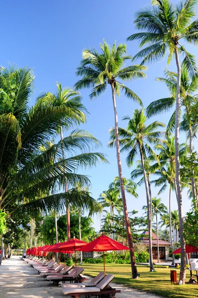 Tropische resort — Stockfoto