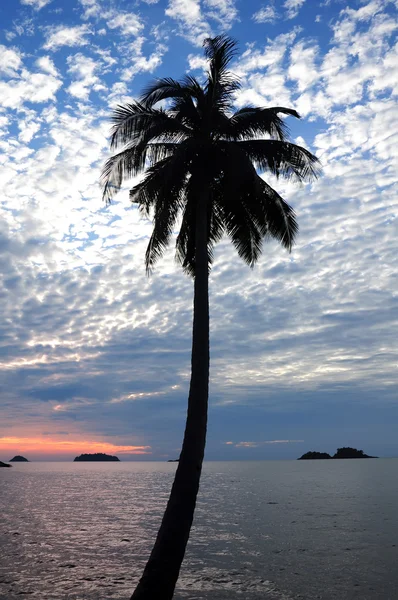 Solnedgång på tropical beach — Stockfoto