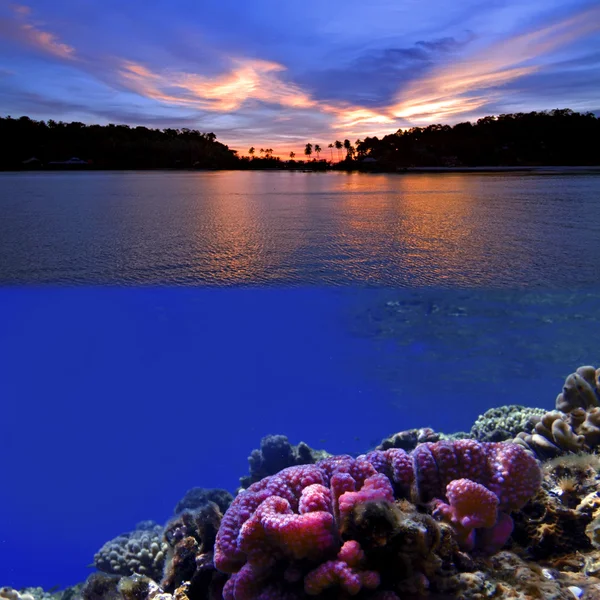 stock image Tropical paradise