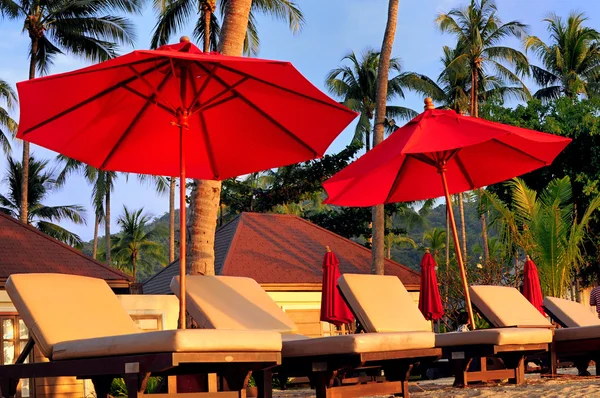 Plaj şemsiyeleri ve palmiye ağaçları — Stok fotoğraf