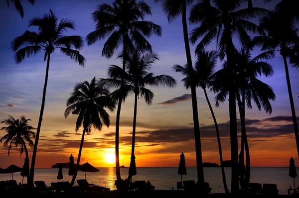 Vacker solnedgång i tropiska havet — Stockfoto