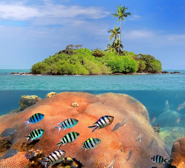 Isla del Coral — Foto de Stock