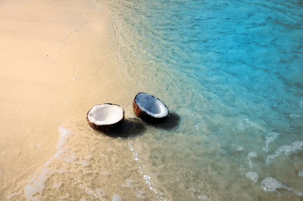Kokos na plaży — Zdjęcie stockowe
