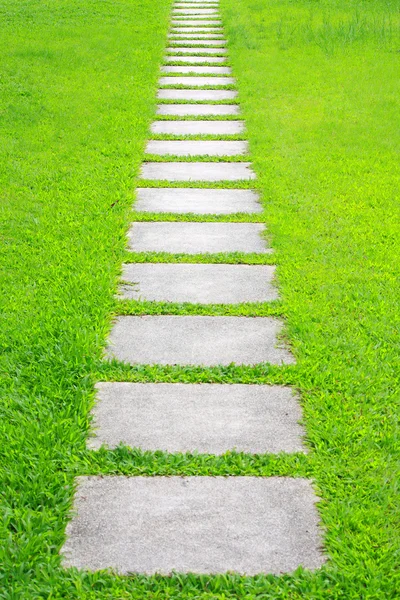 stock image Pathway