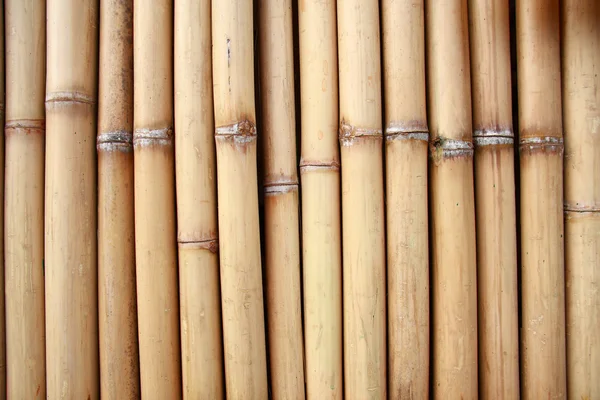 Bambu Tailandês Natural Pode Ser Usado Como Fundo — Fotografia de Stock
