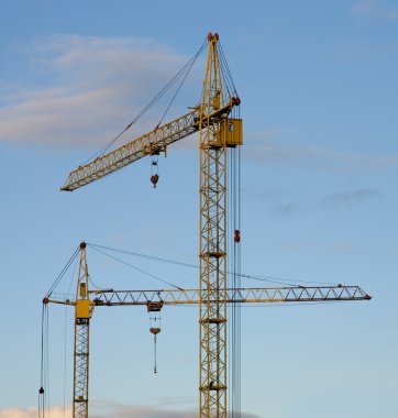 Cranes clipart