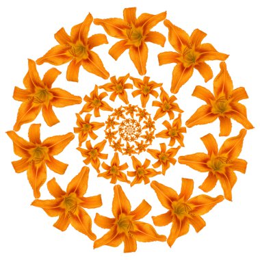 Tiger lily desen