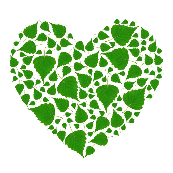 Zielone serce — Zdjęcie stockowe