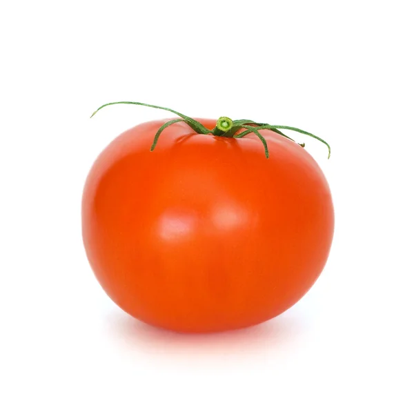 stock image Tomato