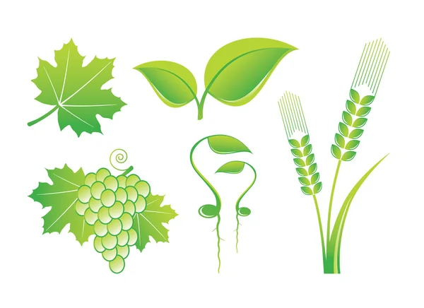 Nature Icons — Stock Vector