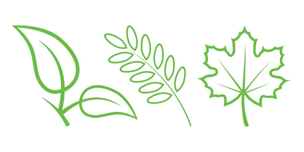 Зеленые иконы природы. Часть 3 - Листья — стоковый вектор