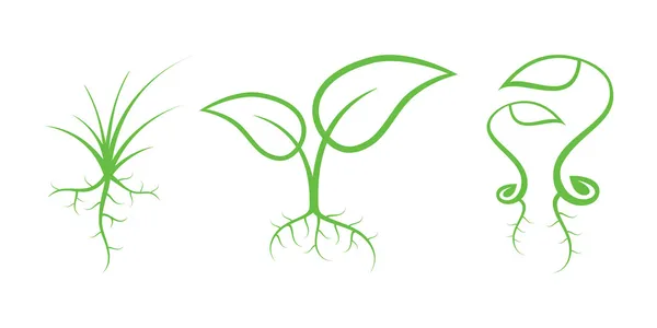 Zöld természet ikonok. Rész 7 - hajtások — Stock Vector