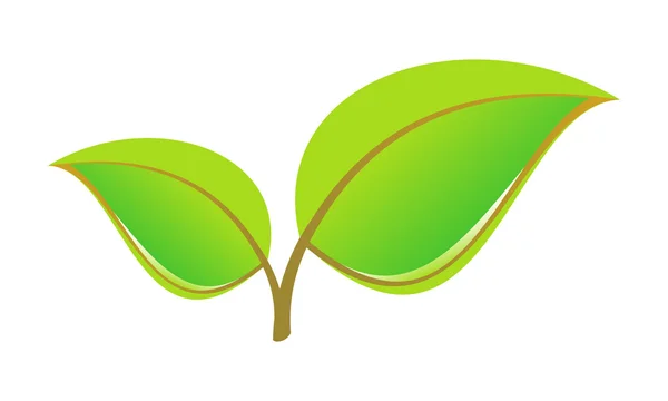 Πράσινα Φύλλα Που Απομονώνονται Λευκό — Διανυσματικό Αρχείο