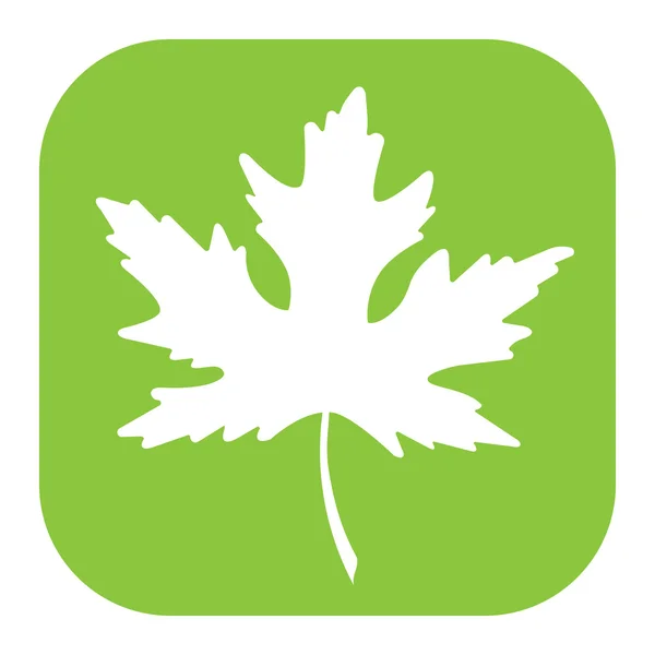 Vector Maple Leaf White Background — Stock Vector