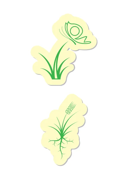 Illustration Vectorielle Icônes Végétales Sur Fond Blanc — Image vectorielle
