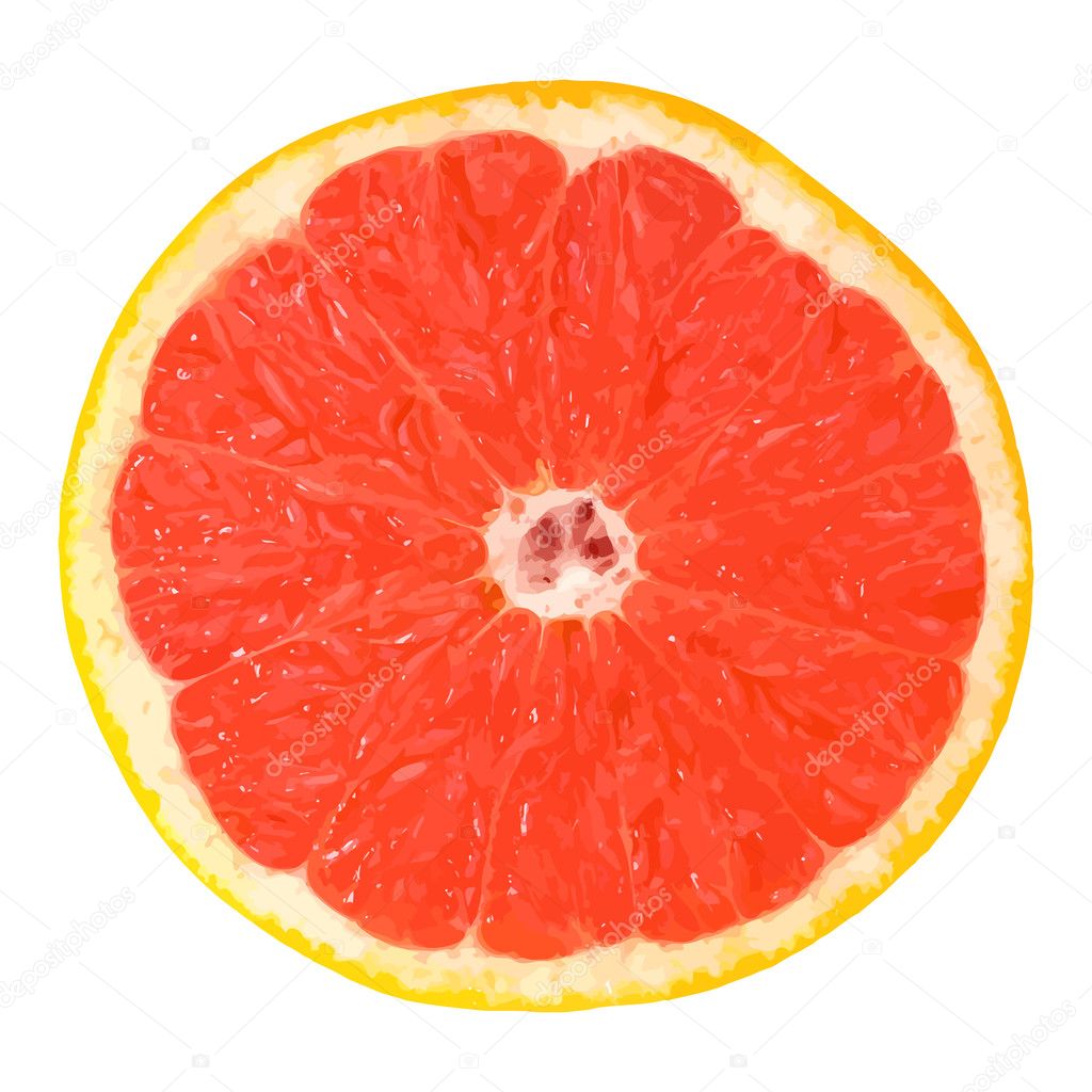 Vector Grapefruit