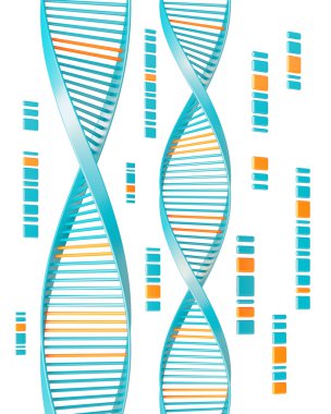 Dna isolated on white background clipart