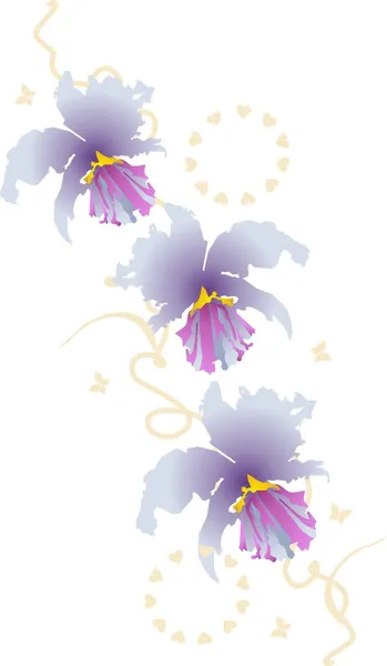 Orquídea Cattleya — Vector de stock