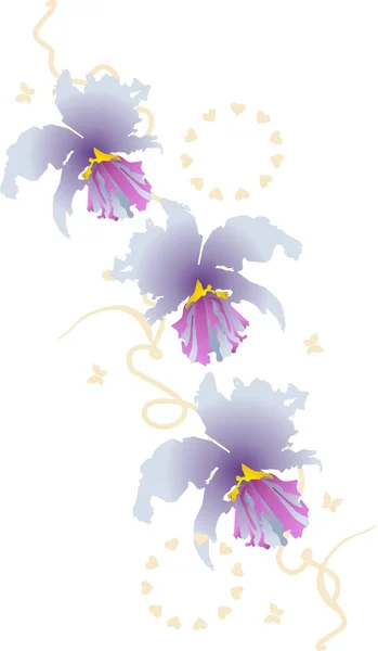 Каттлея, Орхидея — стоковый вектор