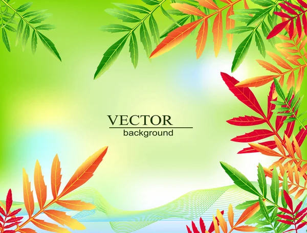 Vector green background with autumn leaves — Stock Vector