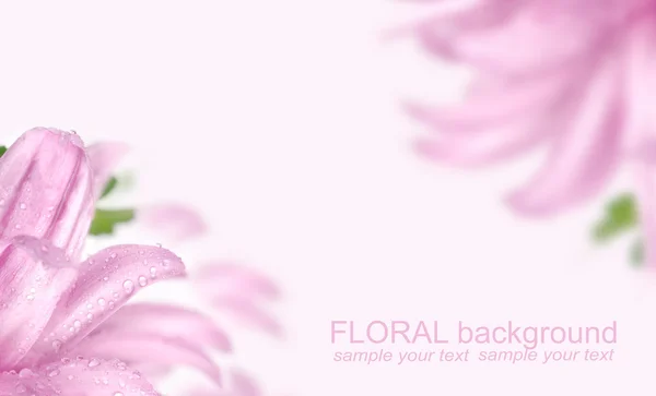 Blumenkarte — Stockfoto