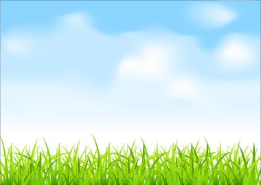 Vector green grass and blue sky clipart