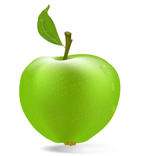 Çiğ damlaları ile vektör yeşil elma — Stok Vektör