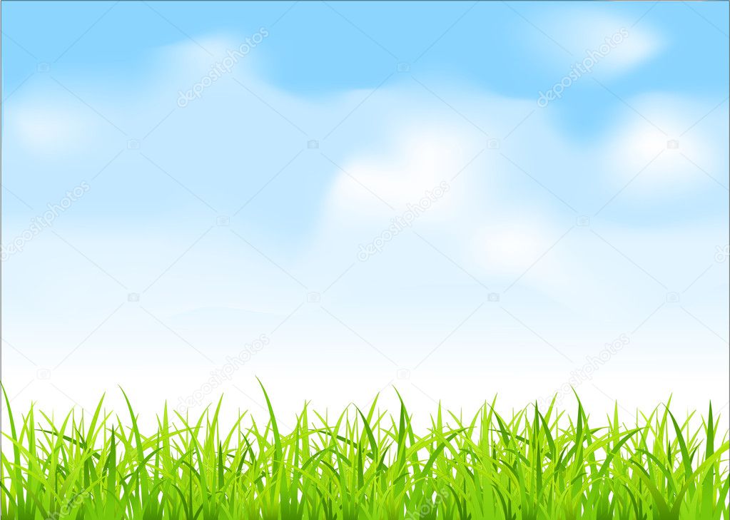 Vector green grass and blue sky