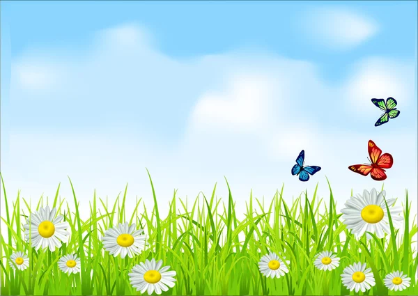 Vektorové zelené trávy a modrá obloha s sedmikrásky a motýli — Stockový vektor