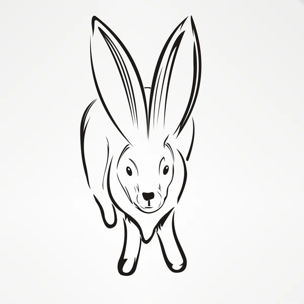 Silueta de conejo — Vector de stock