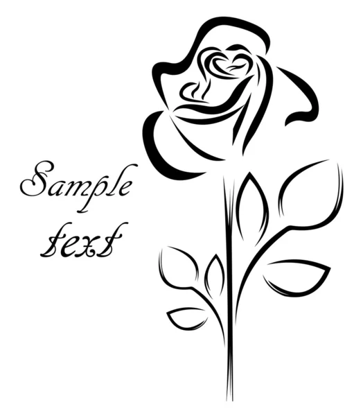 Kresba v řádcích. růže — Stockový vektor