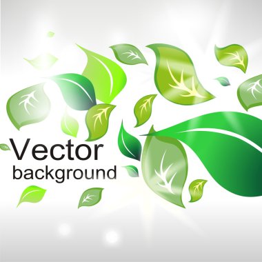 Vector floral background clipart