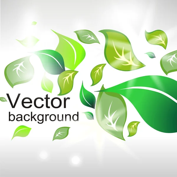 Vektor virág háttér — Stock Vector