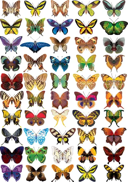 Набір з метеликами — стоковий вектор