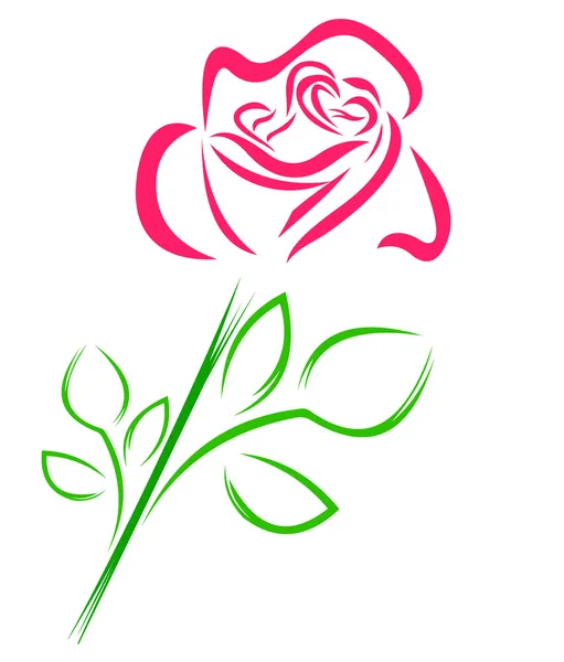 Rose in lines — Stock Vector