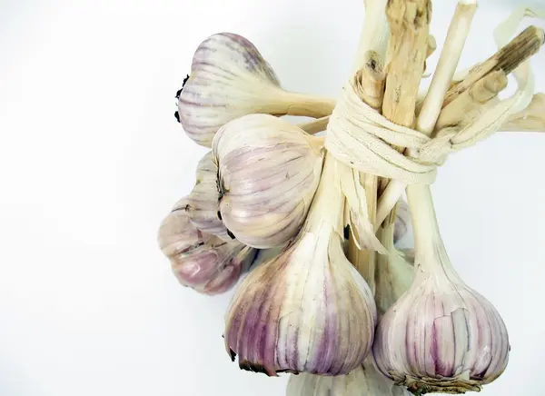 stock image Garlic